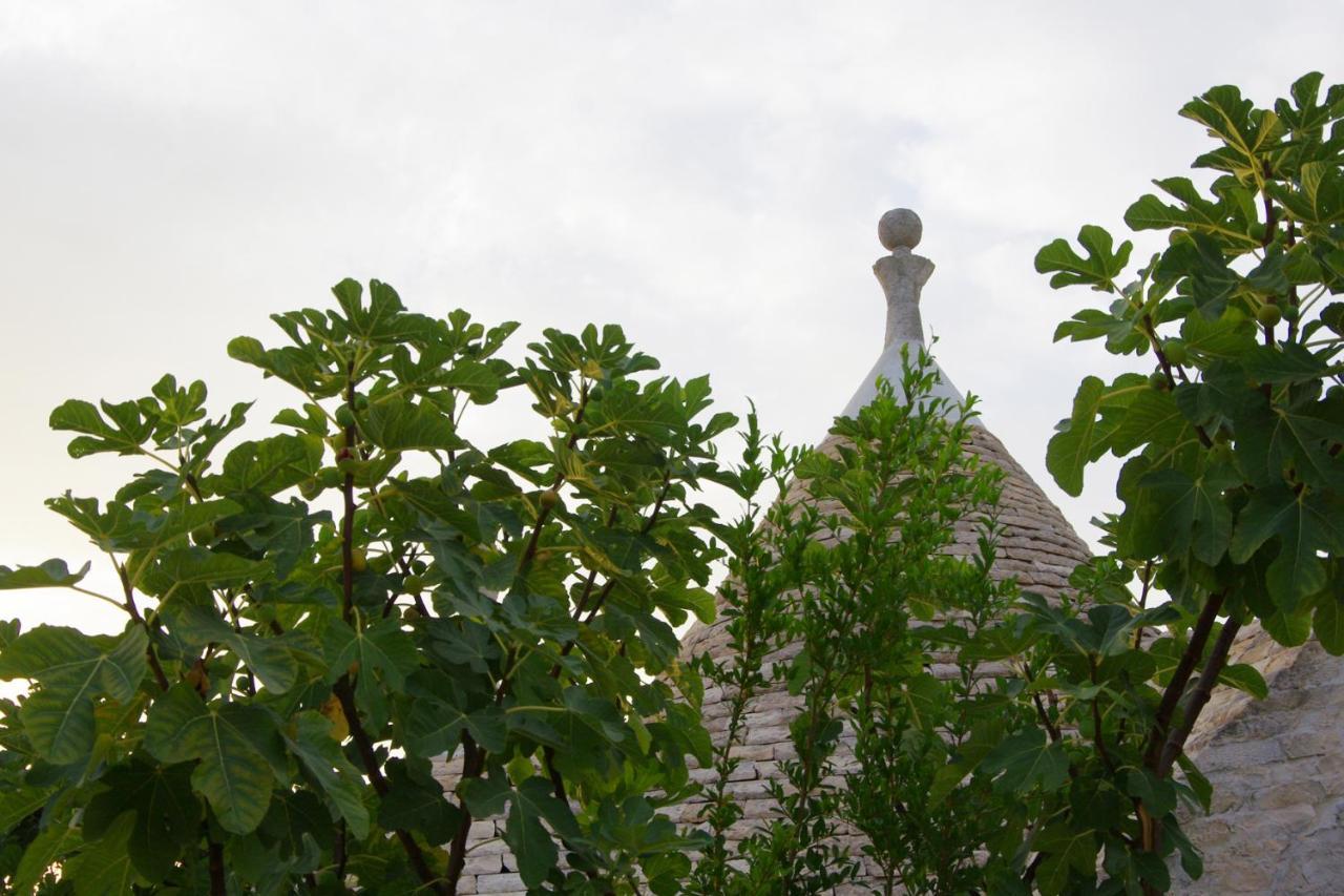 Masseria Sciaiani Piccola Villa Castelli Extérieur photo